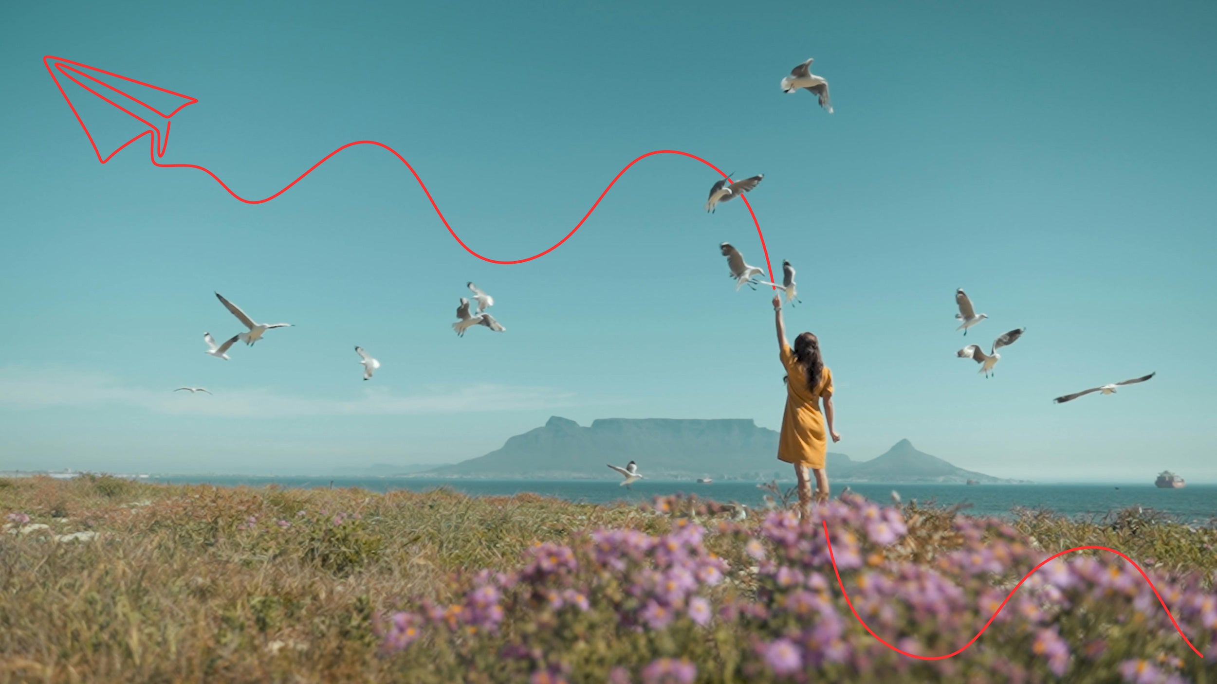 A woman in a yellow dress is standing with her hands raised towards seagulls that are flying above her head. There are purple flowers in the foreground, and Table Mountain is in the background. There is an orange graphic element of a line with a paper aeroplane overlaying the image, flying from right to left.