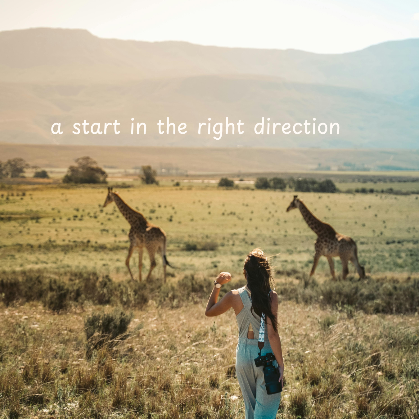 A woman standing in an African landscape with two giraffes in the background. There is white text that says, "A start in the right direction". 